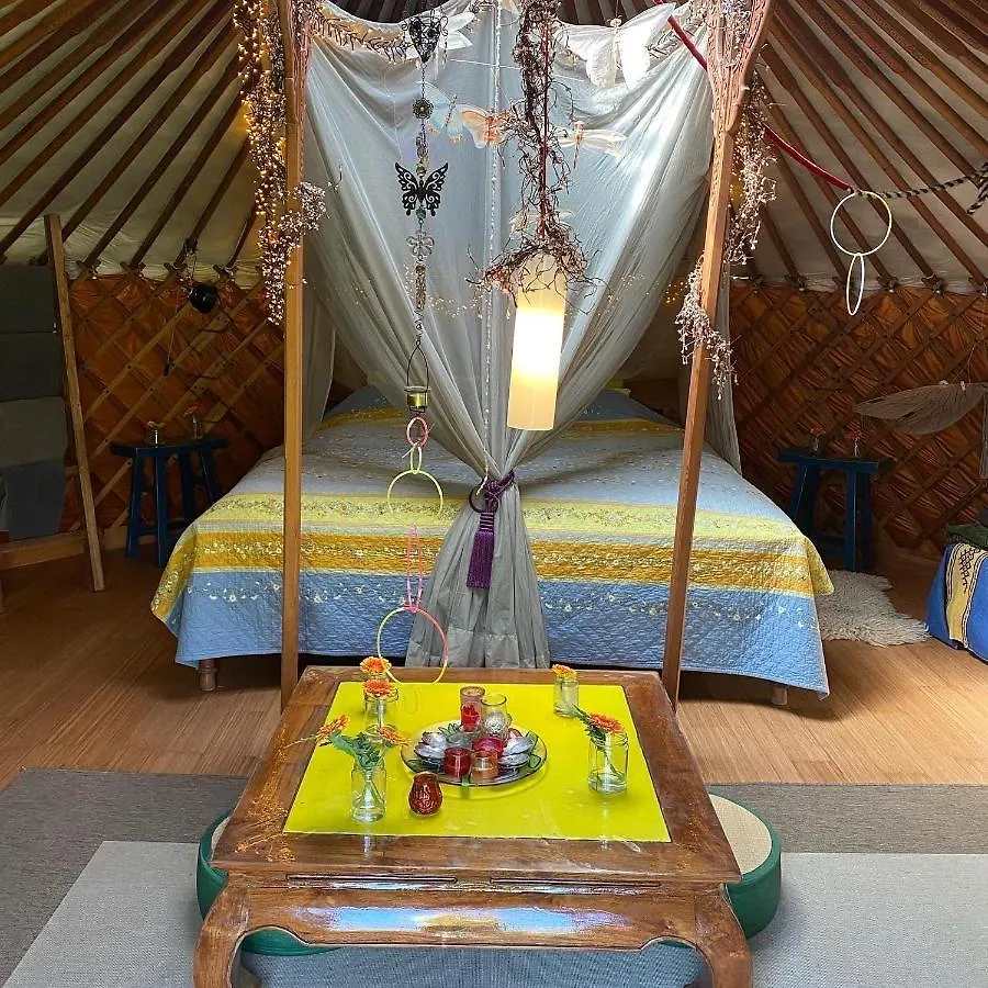 Reijgershof Bed & Breakfast Amsterdam